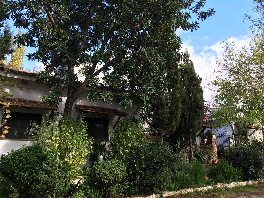 Гостьовий будинок Cortijo El Berrocal Касалья-де-ла-Сьєрра Екстер'єр фото