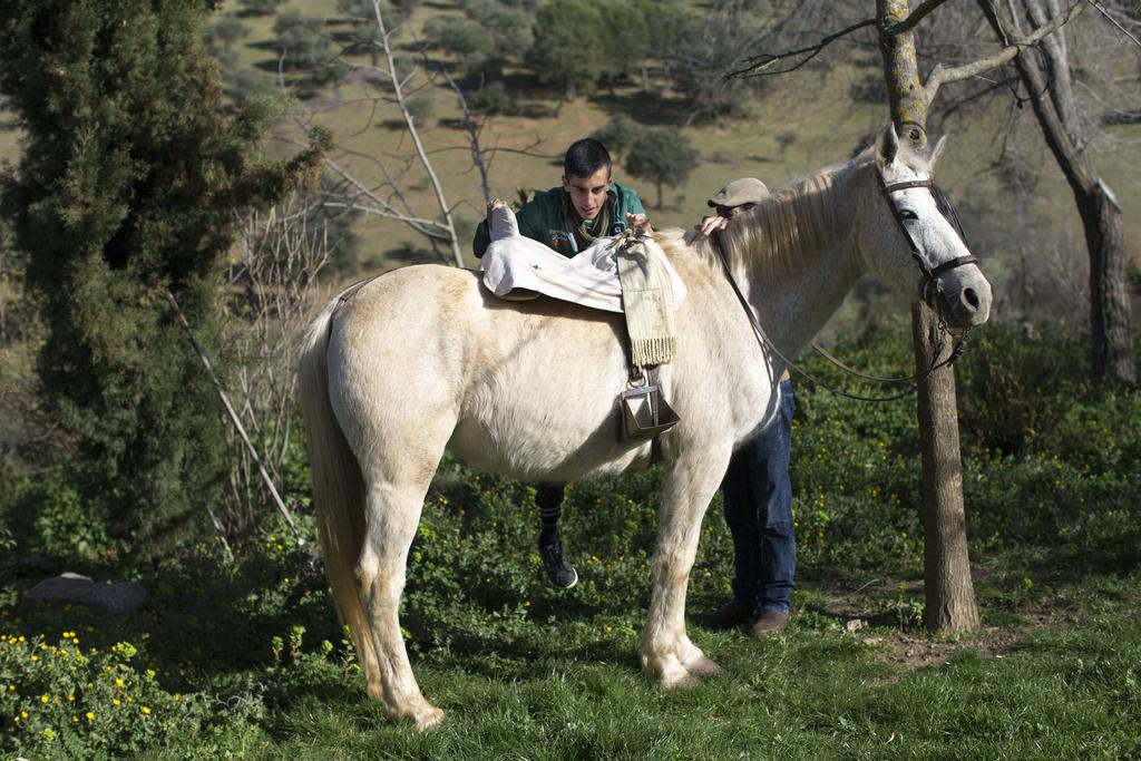Гостьовий будинок Cortijo El Berrocal Касалья-де-ла-Сьєрра Екстер'єр фото